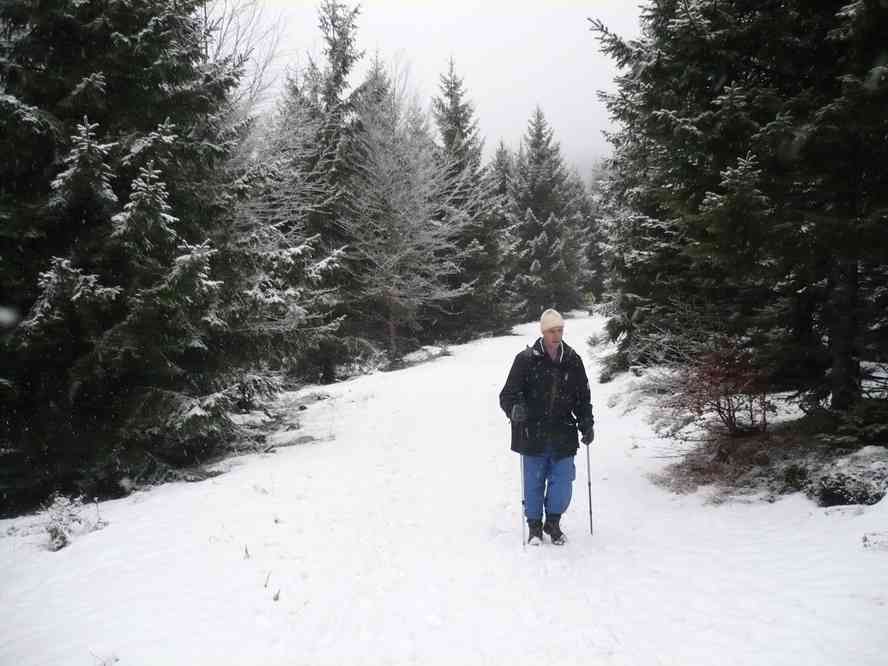 Entre le lac de la Lauch et Remspach. Le vendredi 1ᵉʳ janvier 2010