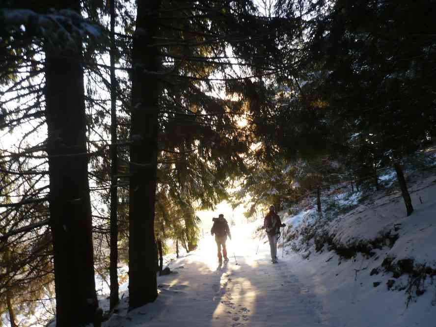 Entre le chalet et Obersengern. Le samedi 2 janvier 2010