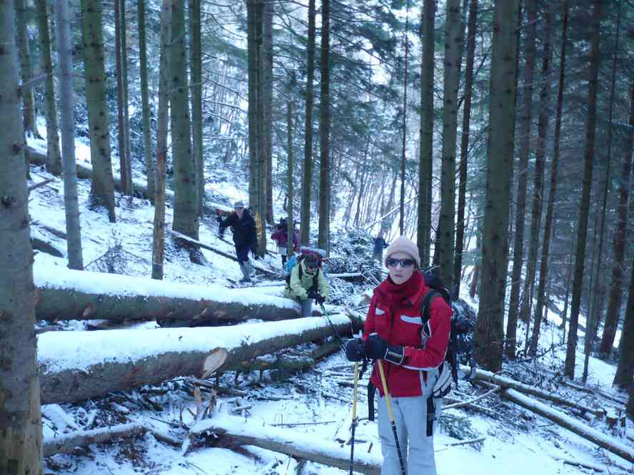 Chemin barré près de Eck. Le samedi 2 janvier 2010