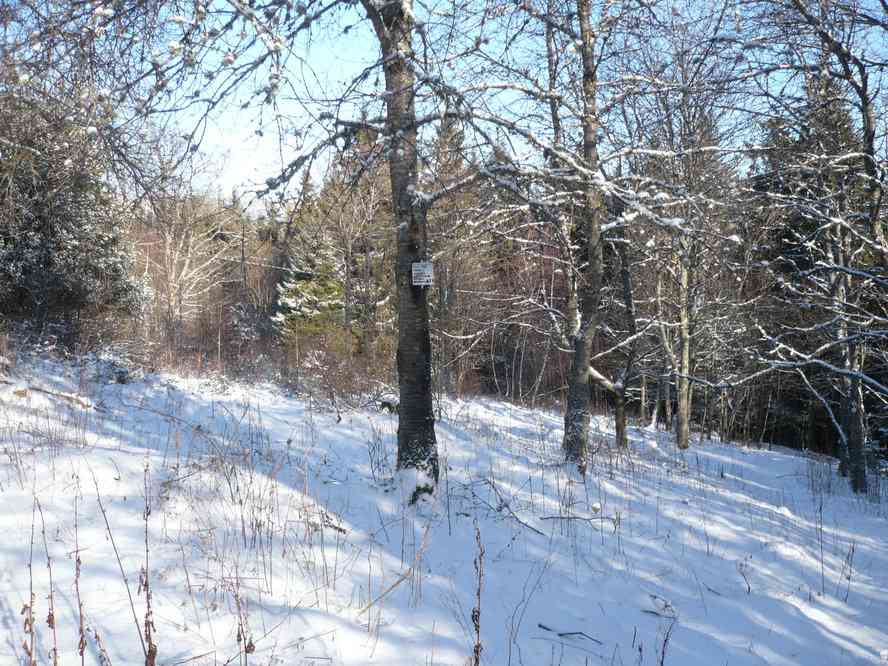 Au-dessus de Eck. Le samedi 2 janvier 2010