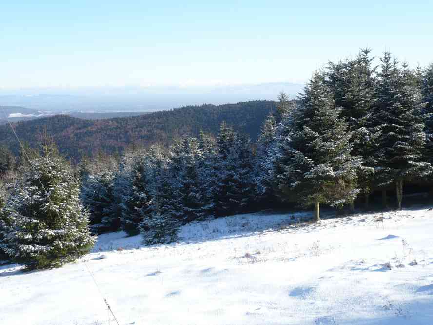 Vers Gustiberg. Le samedi 2 janvier 2010