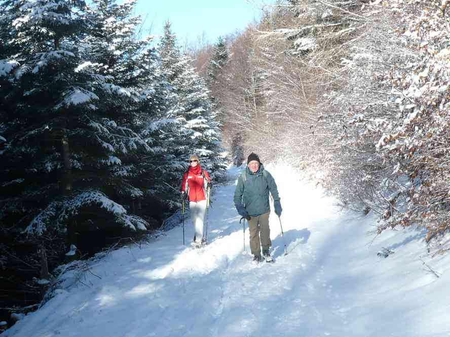 Entre Gustiberg et le lac du Ballon. Le samedi 2 janvier 2010