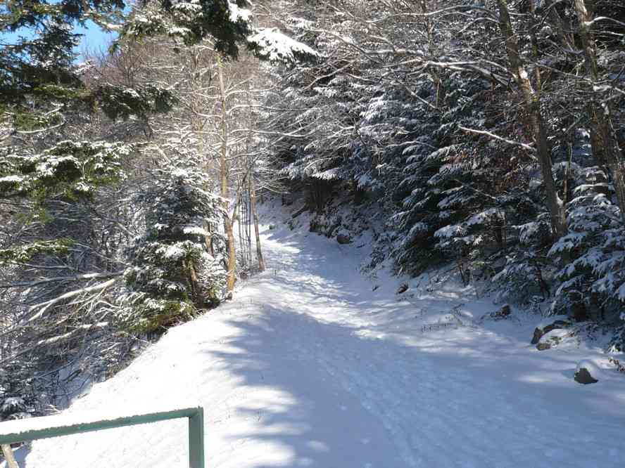 Près du lac du Ballon. Le samedi 2 janvier 2010