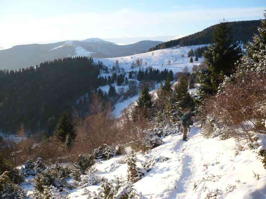 Montée au col du Hilsenfirst (vue sur le grand Ballon). Le dimanche 3 janvier 2010