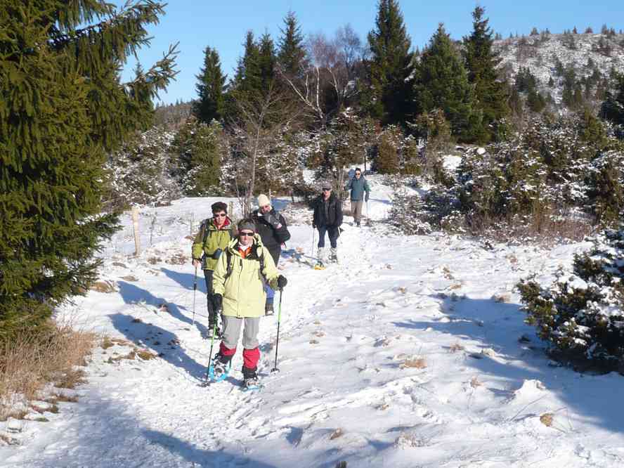 Descente du petit Ballon en direction du col de Hilsenfirst. Le dimanche 3 janvier 2010