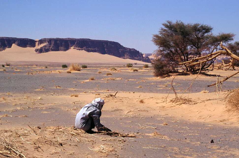 Prépatation du thé au feu de bois (13 février 1998)