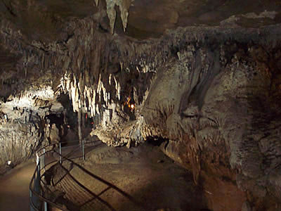 La Coquille Saint Jacques, salle de la Draperie