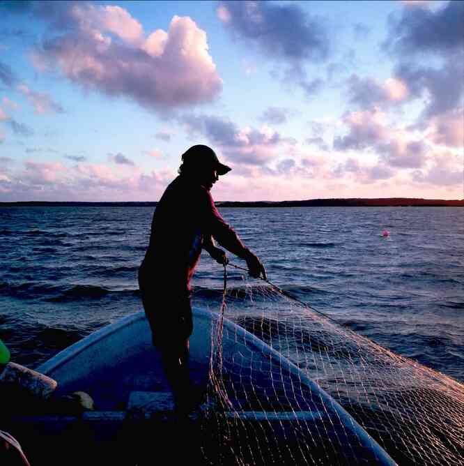 Séance de pêche dans la Bahia Hondita (photo : Christian Bordier). Le 27 janvier 2018